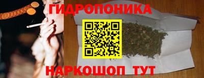 гашик Кулебаки