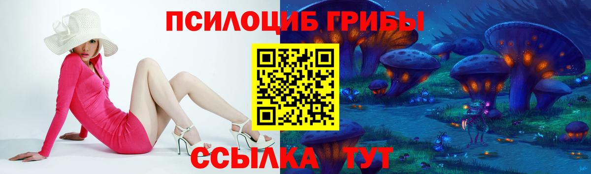 Псилоцибиновые грибы Psilocybe Тосно